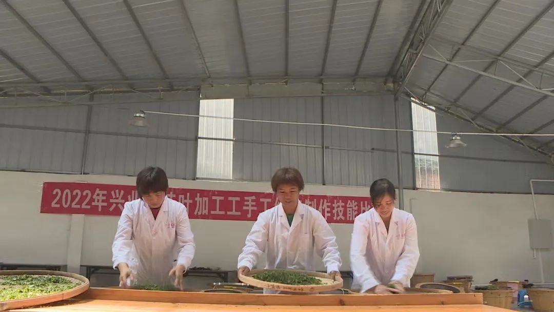 富硒茶标准化生产(富硒茶叶国家标准)-硒宝网