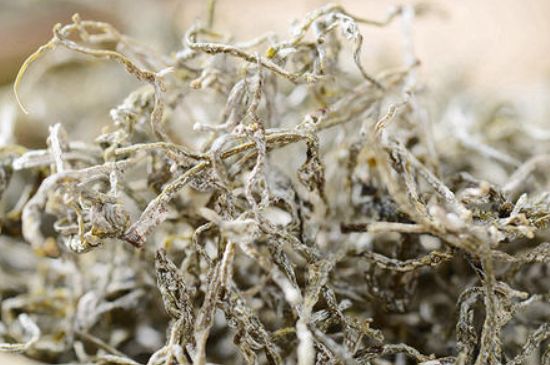 富硒藤茶能放几年(富硒藤茶如何冲泡)-硒宝网