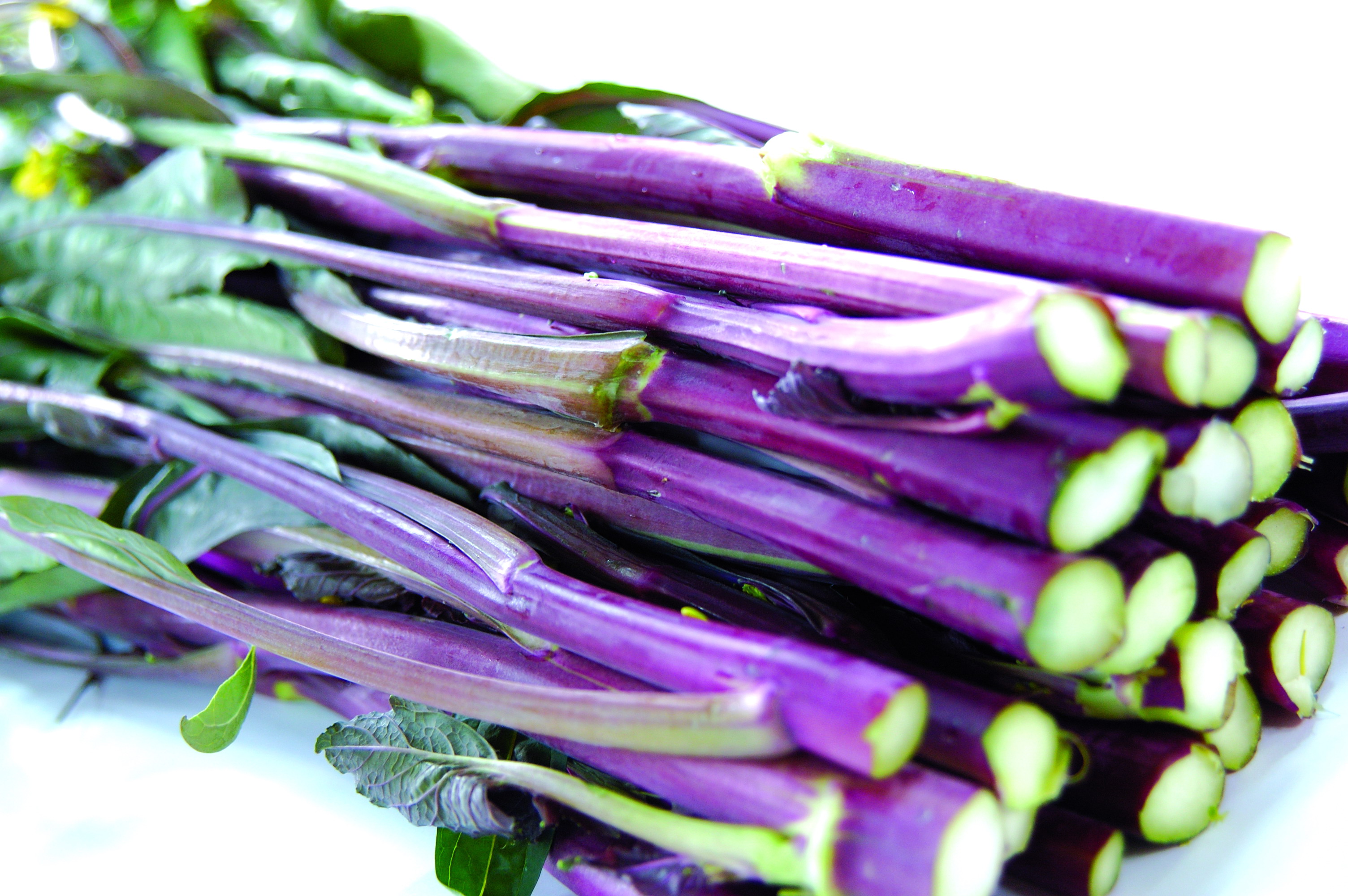 七畲径茶富硒价格(2021年径山茶价格)-硒宝网