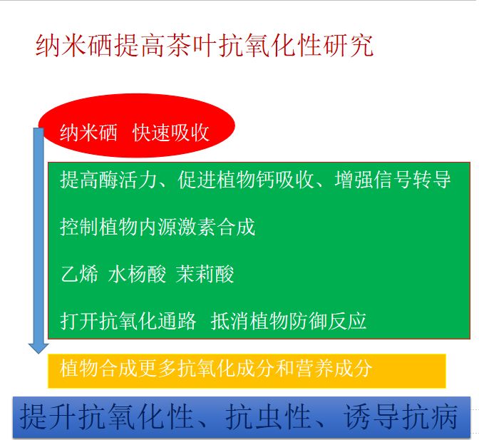 离子富硒茶的功效(离火茶功效)-硒宝网