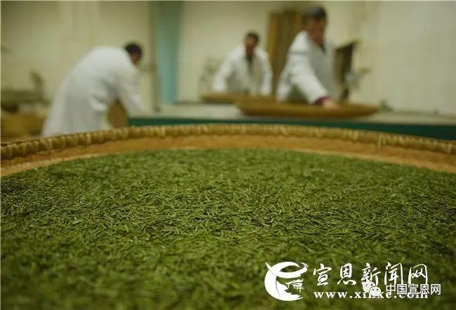 富硒贡茶是哪里的(富硒贡茶功效与作用)-硒宝网