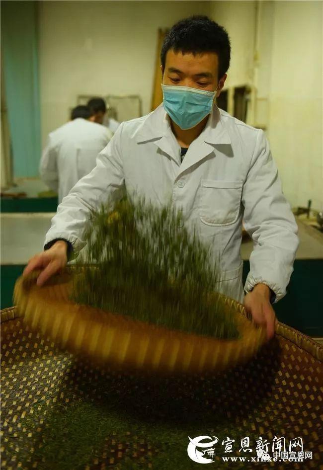 富硒贡茶是哪里的(富硒贡茶功效与作用)-硒宝网