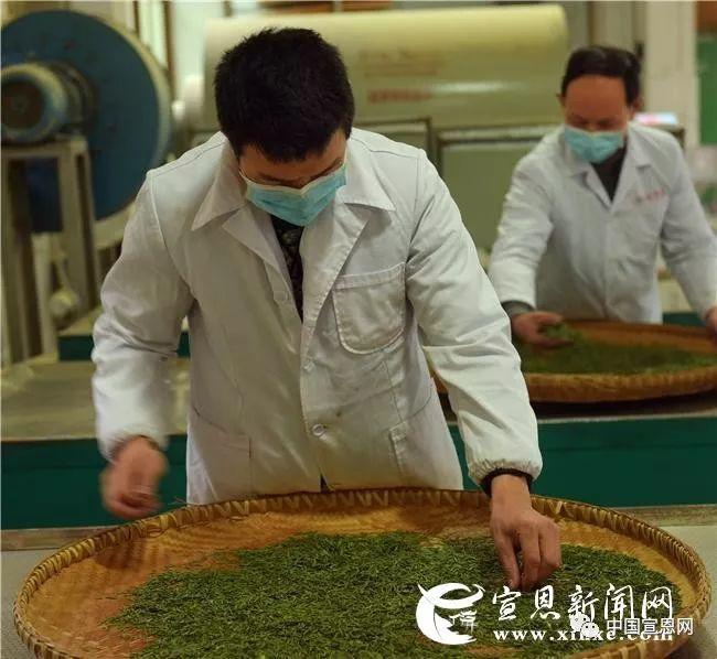 富硒贡茶是哪里的(富硒贡茶功效与作用)-硒宝网