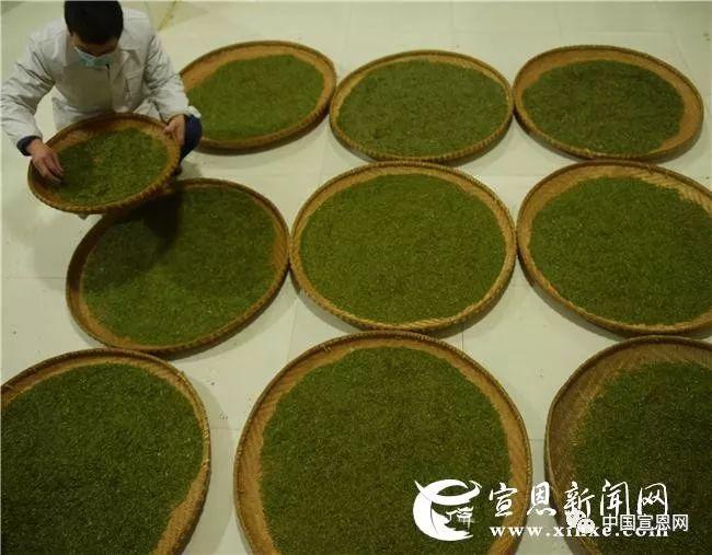 富硒贡茶是哪里的(富硒贡茶功效与作用)-硒宝网