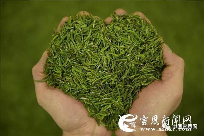 富硒贡茶是哪里的(富硒贡茶功效与作用)-硒宝网