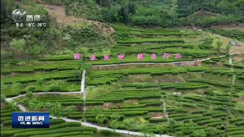 保利茶硒泉富硒茶（保利富硒泉的矿泉水怎么样）-硒宝网