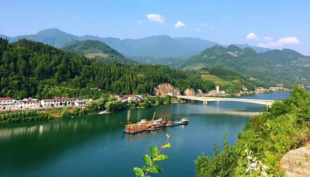 富硒茶为什么富硒（富硒茶产地）-硒宝网