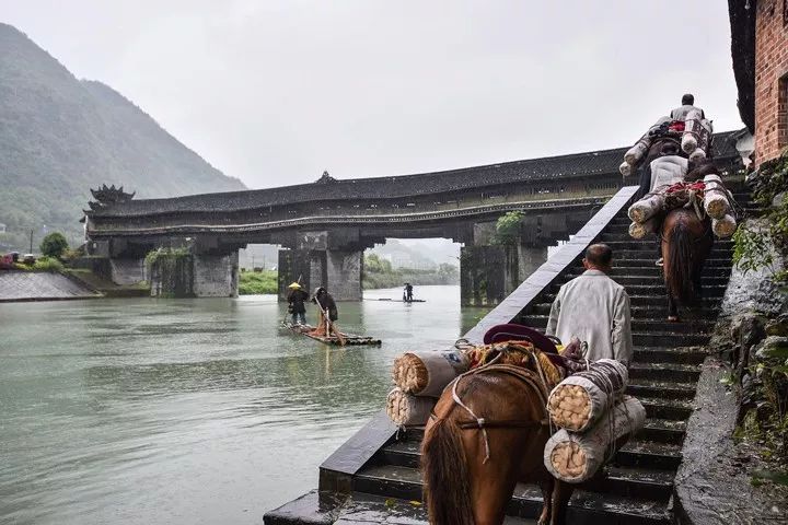 湖南安化富硒黑茶(安化黑茶的硒含量是多少)-硒宝网