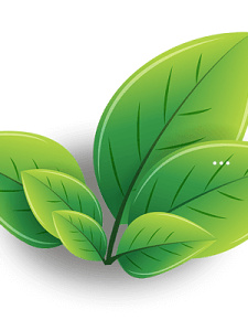 富硒茶硒土壤含量（茶叶含硒量）-硒宝网