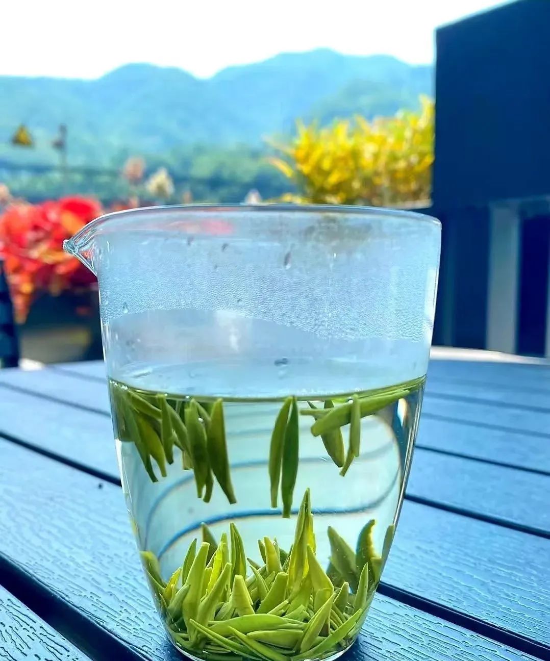 紫阳富硒茶硒姑娘(硒姑娘酒业有限公司)-硒宝网