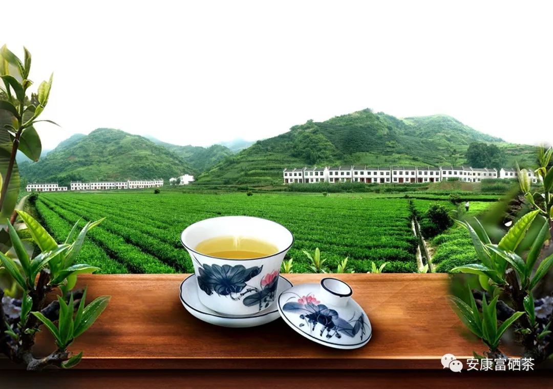 富硒茶都有什么茶(富硒茶的硒含量)-硒宝网