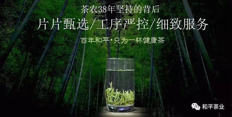 紫阳茶富硒茶特点(紫阳富硒茶好坏辨别)-硒宝网