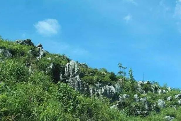 湘硒缘富硒健康茶(湘耕硒酒)-硒宝网