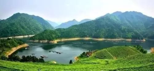 湘硒缘富硒健康茶(湘耕硒酒)-硒宝网