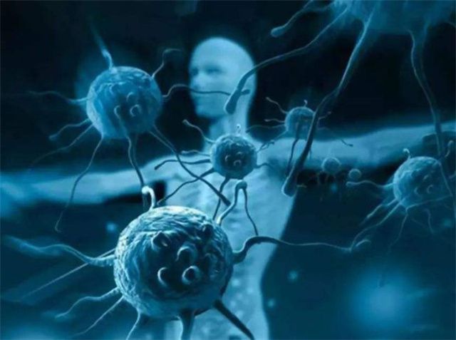 富硒茶里含有硒吗(茶含有富硒里硒含量多少)-硒宝网