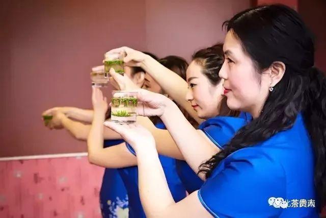 紫阳富硒茶什么茶(紫阳富硒茶的制作过程)-硒宝网