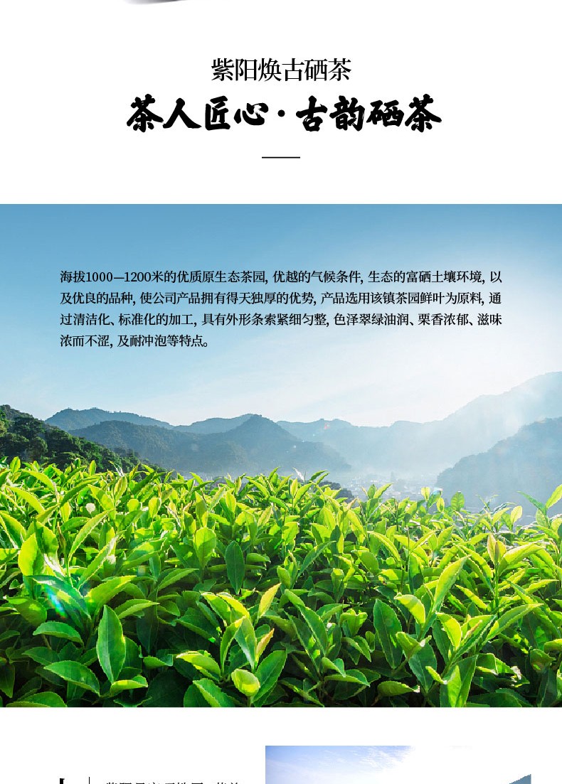 恩施夫妻茶富硒茶(恩施富硒茶叶多少钱一斤)-硒宝网