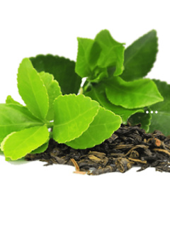 紫阳富硒茶硒康源(紫阳富硒茶多少钱一斤)-硒宝网