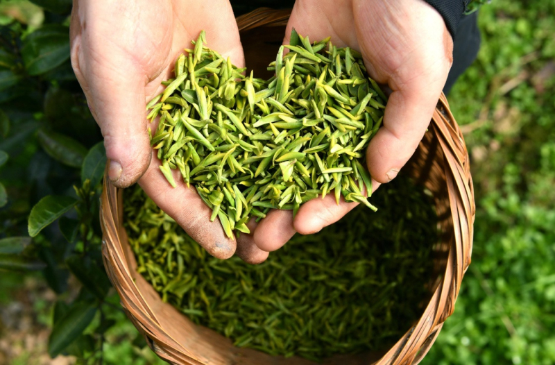 恩施富硒茶有硒吗（恩施富硒茶硒含量）-硒宝网