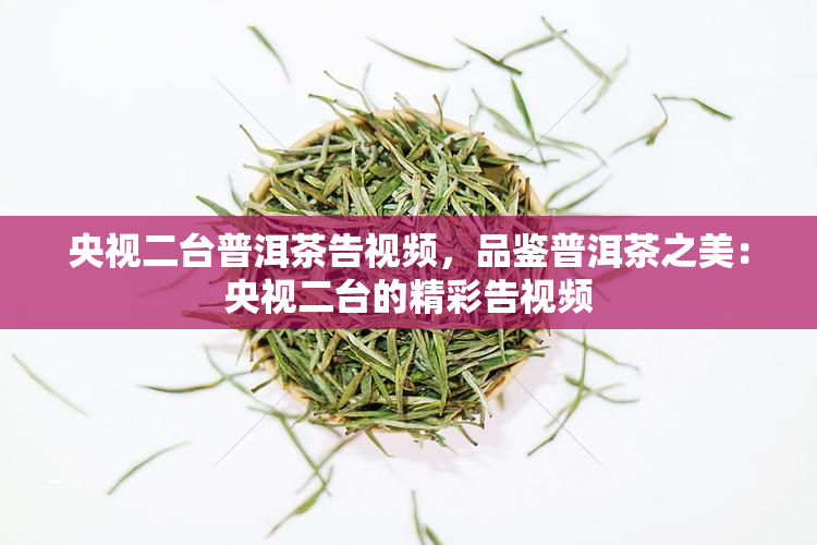 紫阳富硒茶 央视(紫阳富硒茶文化)-硒宝网