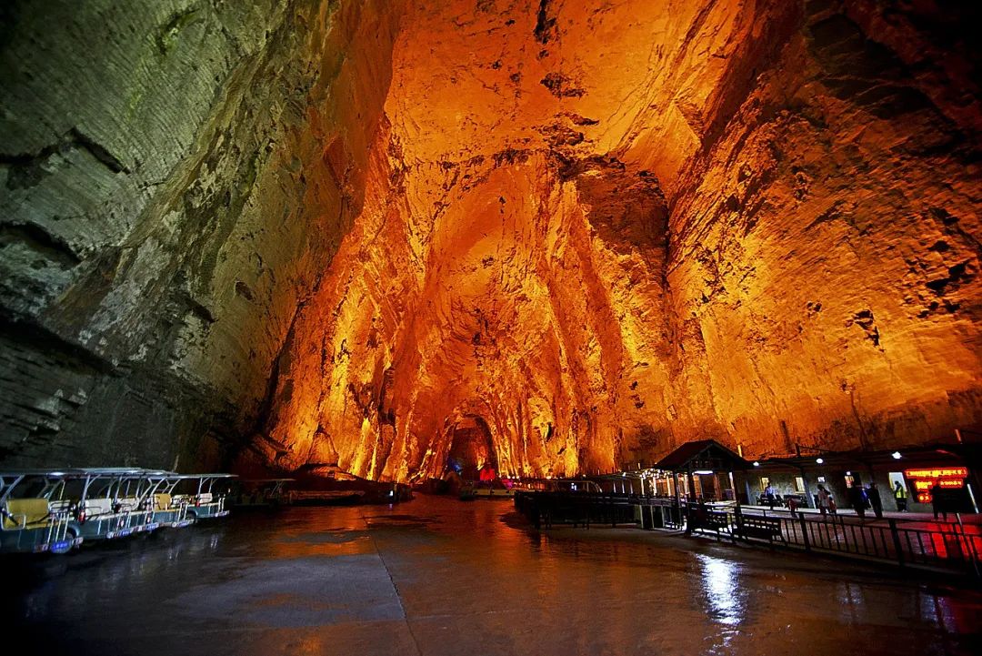 恩施雨露 富硒茶(恩施雨露的功效)-硒宝网