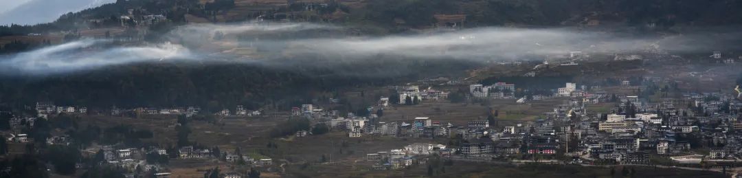 恩施雨露 富硒茶(恩施雨露的功效)-硒宝网