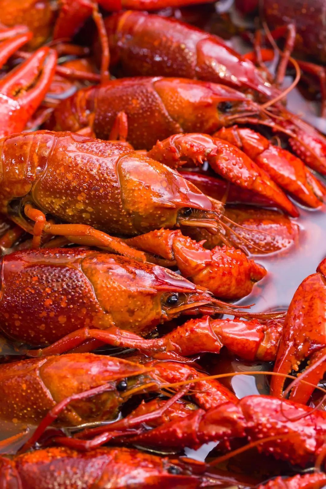 恩施雨露 富硒茶(恩施雨露的功效)-硒宝网