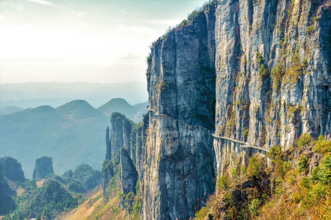 恩施雨露 富硒茶(恩施雨露的功效)-硒宝网