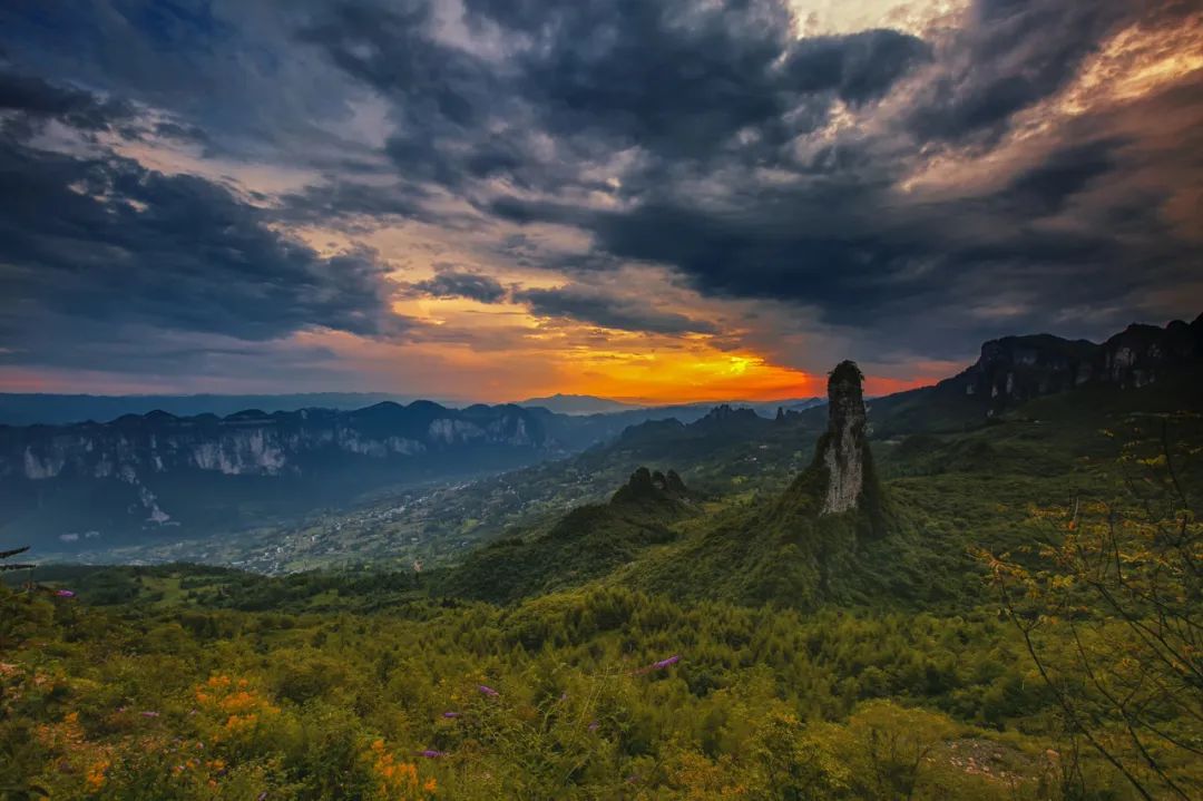 恩施雨露 富硒茶(恩施雨露的功效)-硒宝网