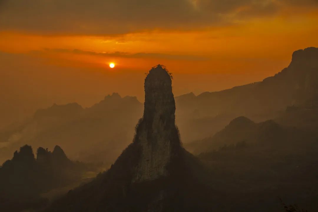 恩施雨露 富硒茶(恩施雨露的功效)-硒宝网