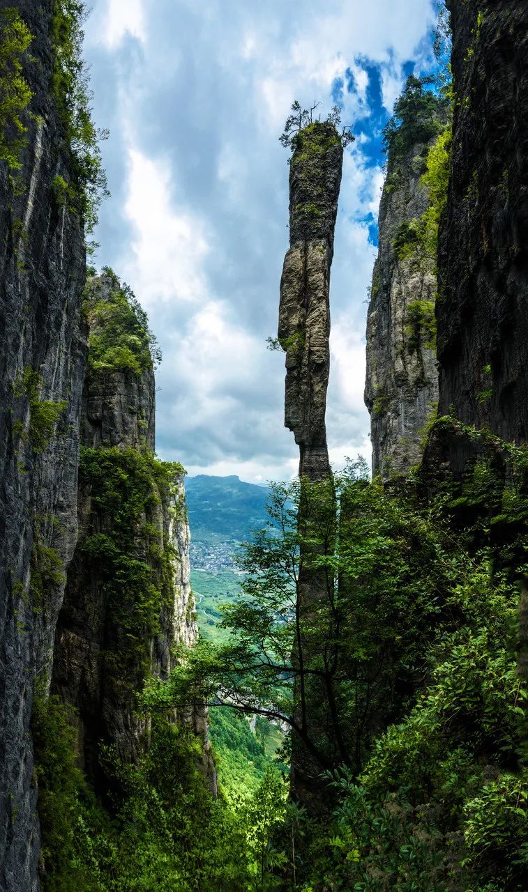 恩施雨露 富硒茶(恩施雨露的功效)-硒宝网