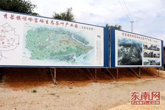 有机富硒茶 诏安(富硒茶园)-硒宝网