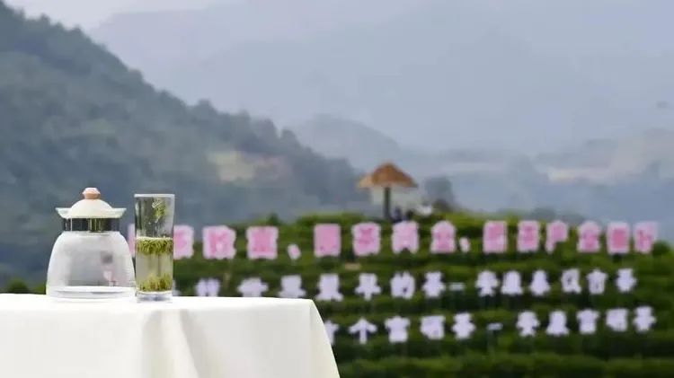 安康富硒茶 脱贫(安康富硒茶多少钱一斤汗水晨雾)-硒宝网