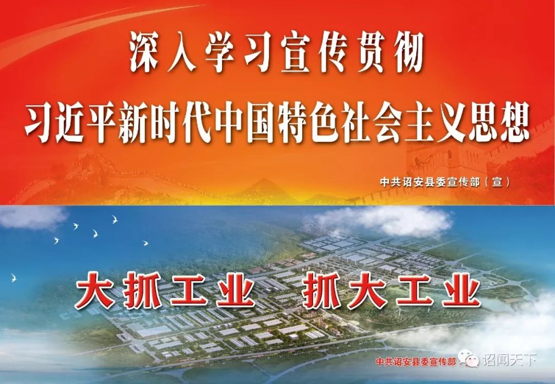 有机富硒茶 诏安（福建富硒茶）-硒宝网