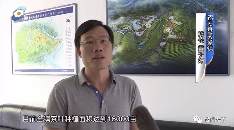 有机富硒茶 诏安（福建富硒茶）-硒宝网