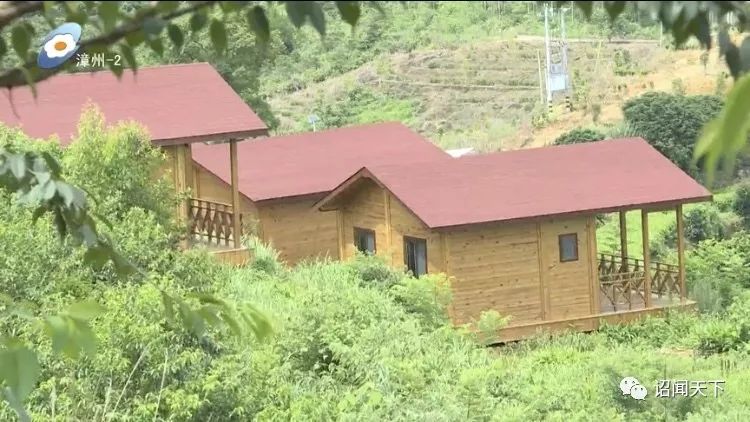 有机富硒茶 诏安（福建富硒茶）-硒宝网