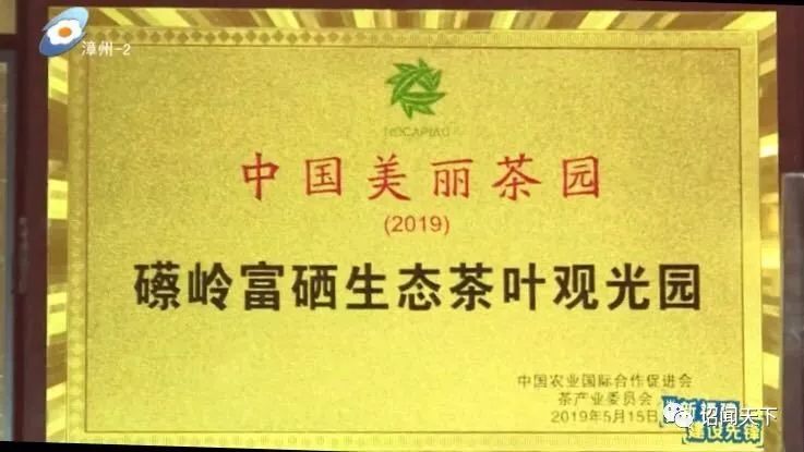 有机富硒茶 诏安（福建富硒茶）-硒宝网