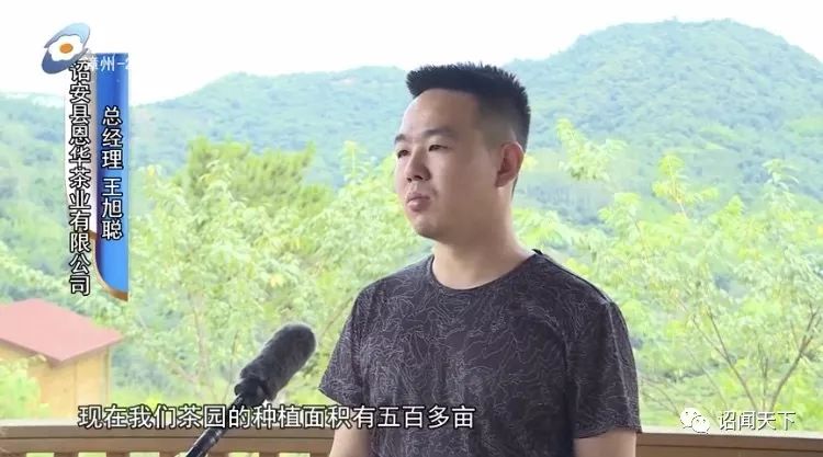 有机富硒茶 诏安（福建富硒茶）-硒宝网