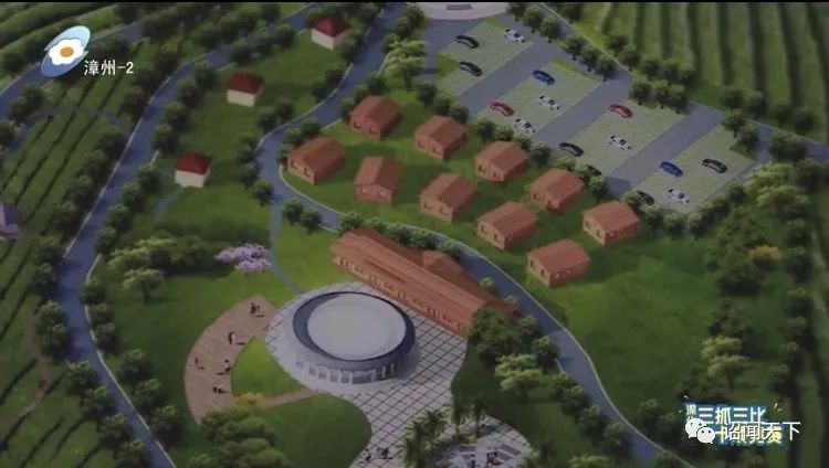 有机富硒茶 诏安（福建富硒茶）-硒宝网