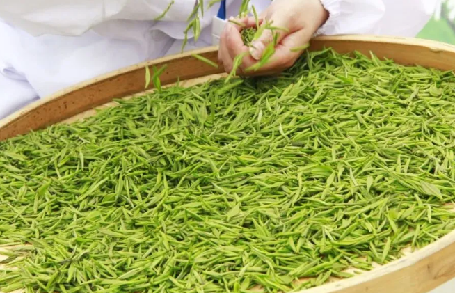 安康富硒茶硒念啥(安康富硒茶多少钱一斤汗水晨雾)-硒宝网