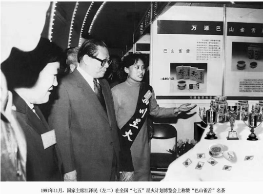 紫阳富硒茶 青花(富硒紫阳茶多少钱一斤)-硒宝网