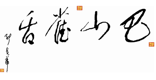 紫阳富硒茶 青花(富硒紫阳茶多少钱一斤)-硒宝网