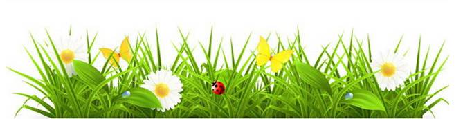 达州 富硒茶产业(通江富硒茶)-硒宝网