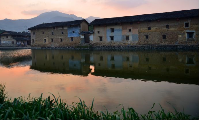漳州 富硒有机茶（富硒有机茶价钱）-硒宝网