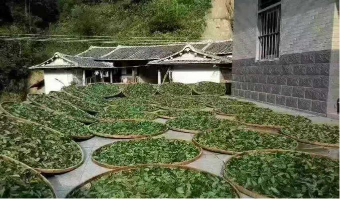 漳州 富硒有机茶（富硒有机茶价钱）-硒宝网