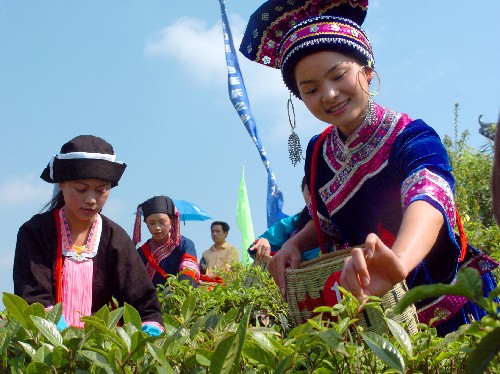 恩施富硒茶 袋装（恩施富硒茶叶多少钱一斤）-硒宝网
