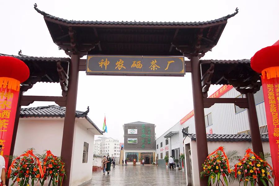 恩施雨露 富硒茶（湖北恩施雨露山茶厂）-硒宝网