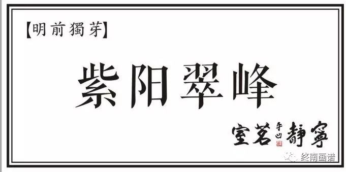 紫阳富硒茶 有机（紫阳富硒茶是绿茶吗）-硒宝网