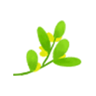 富硒茶 达州专卖(巴中富硒茶)-硒宝网