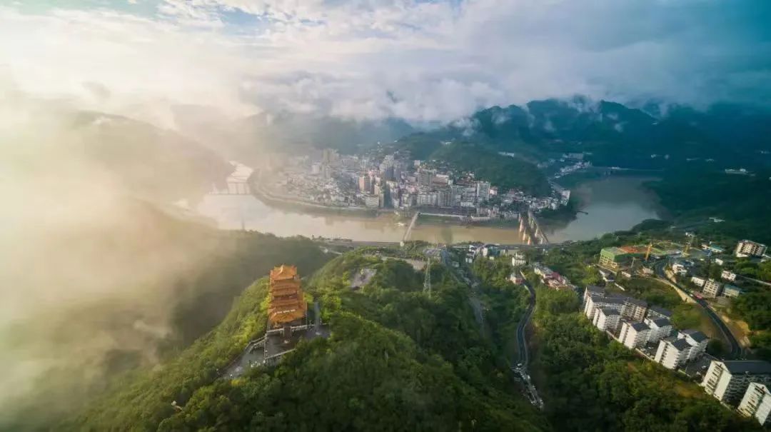 紫阳富硒茶 有机(紫阳茶富硒茶)-硒宝网